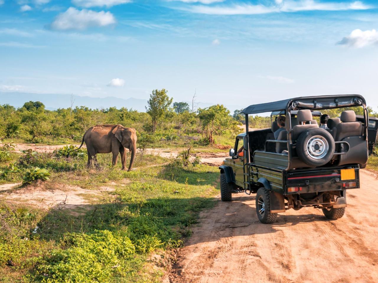 Ekhaya Bush Lodge Hoedspruit Kültér fotó