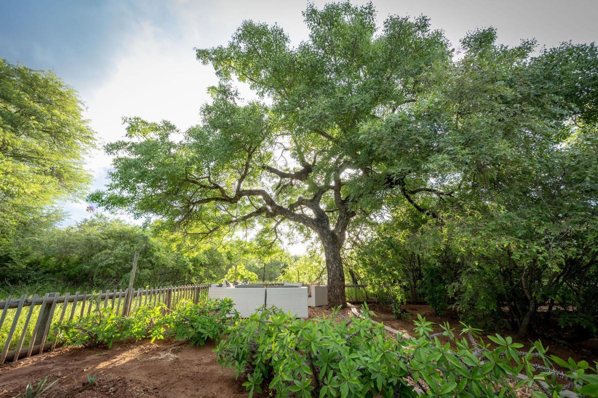 Ekhaya Bush Lodge Hoedspruit Kültér fotó